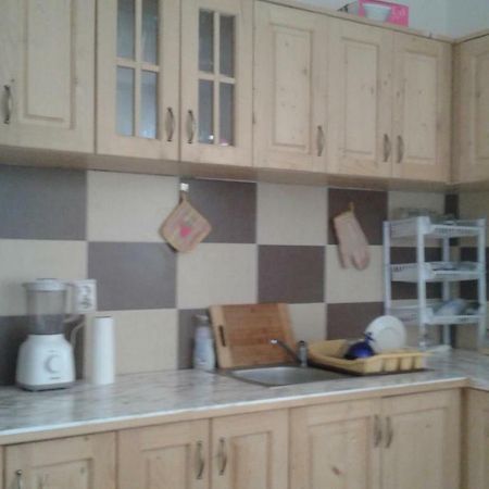 ホテル Pensiunea Casa Vanatorului Oteleni エクステリア 写真