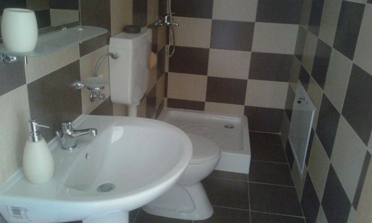 ホテル Pensiunea Casa Vanatorului Oteleni エクステリア 写真