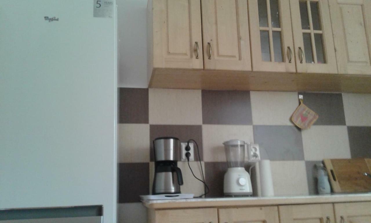 ホテル Pensiunea Casa Vanatorului Oteleni エクステリア 写真