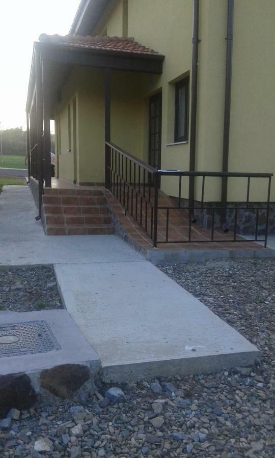 ホテル Pensiunea Casa Vanatorului Oteleni エクステリア 写真