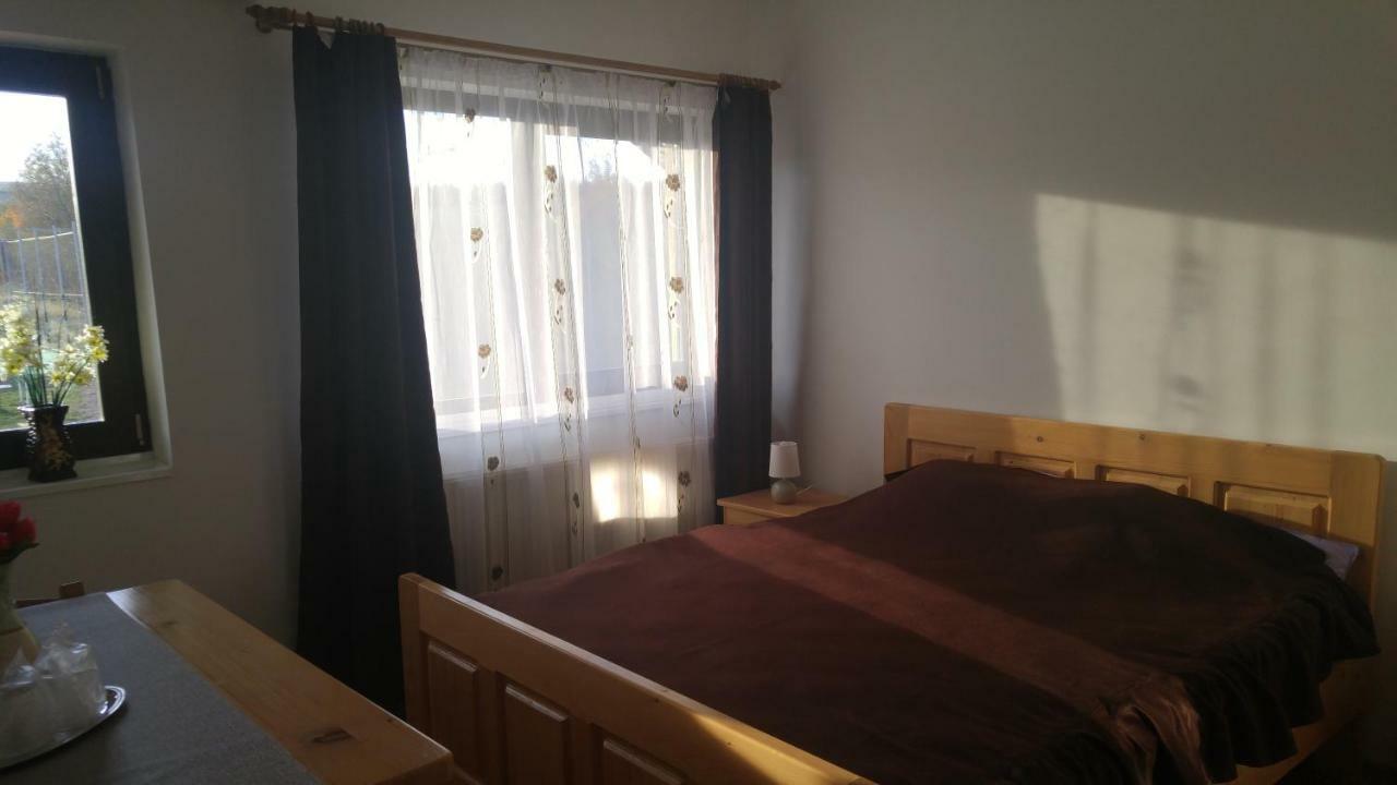 ホテル Pensiunea Casa Vanatorului Oteleni エクステリア 写真
