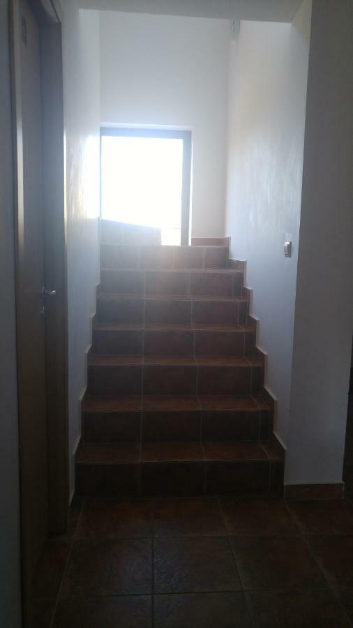ホテル Pensiunea Casa Vanatorului Oteleni エクステリア 写真