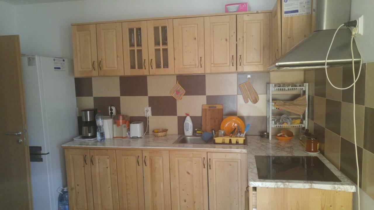 ホテル Pensiunea Casa Vanatorului Oteleni エクステリア 写真