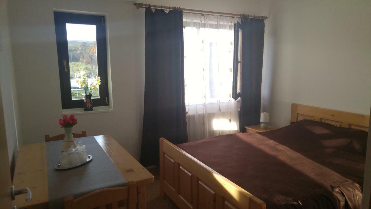 ホテル Pensiunea Casa Vanatorului Oteleni エクステリア 写真