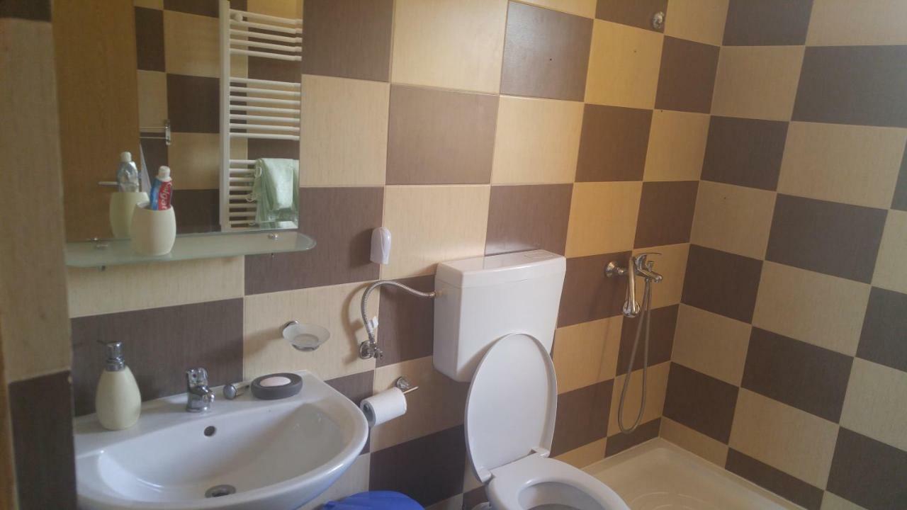 ホテル Pensiunea Casa Vanatorului Oteleni エクステリア 写真