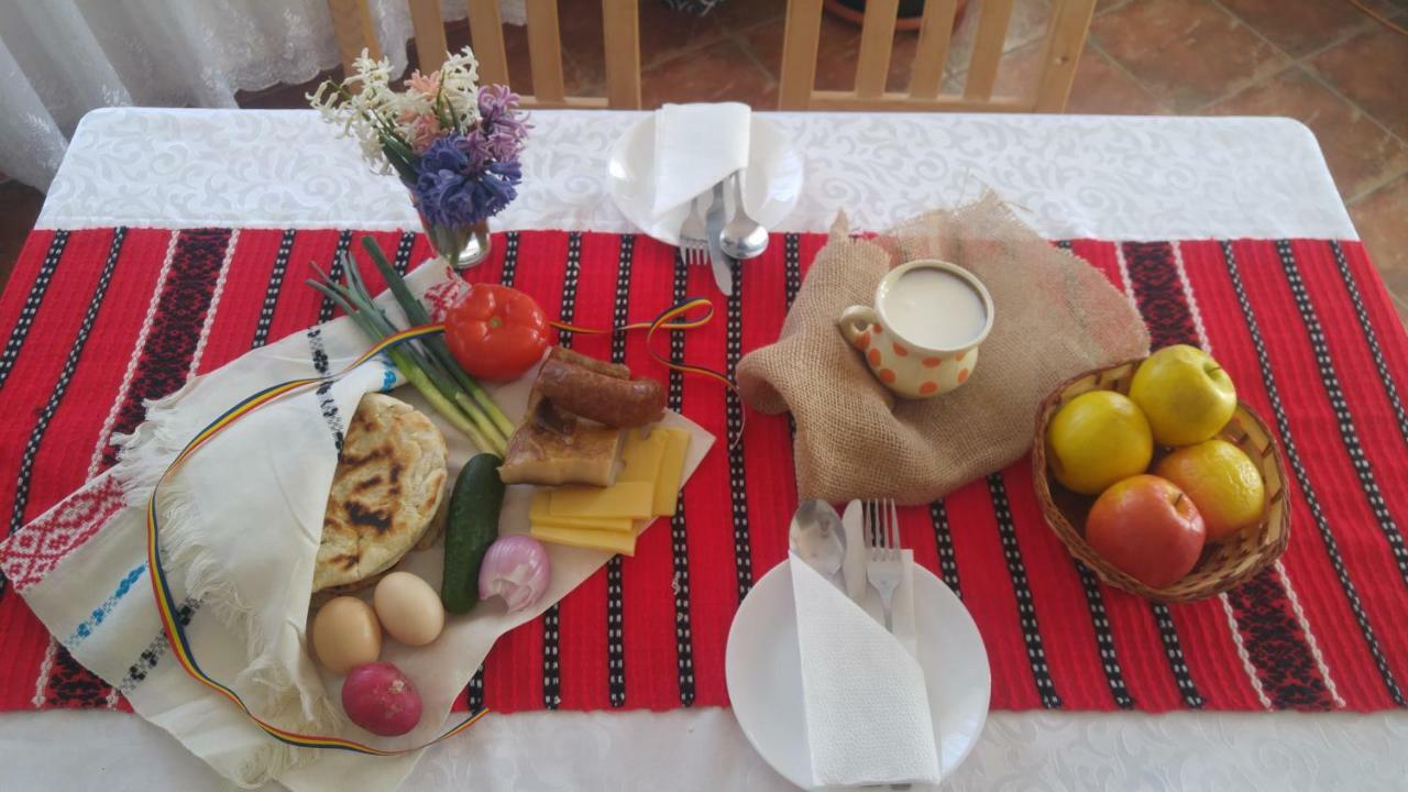 ホテル Pensiunea Casa Vanatorului Oteleni エクステリア 写真