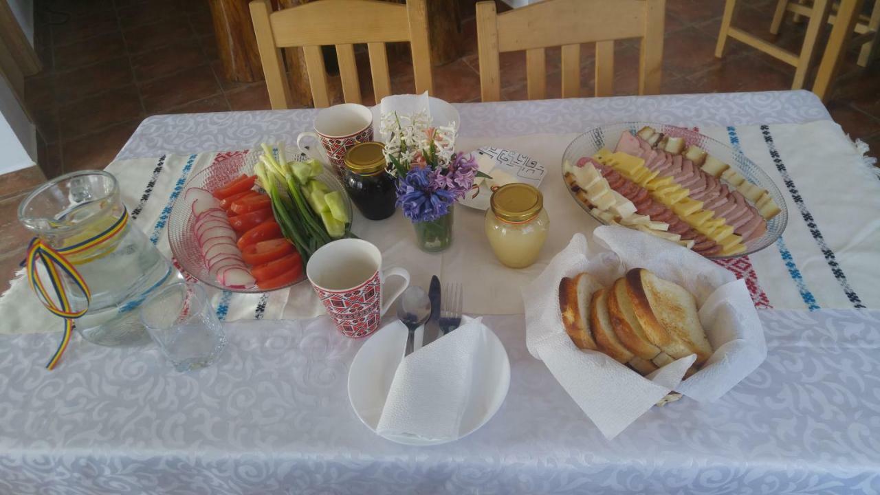 ホテル Pensiunea Casa Vanatorului Oteleni エクステリア 写真