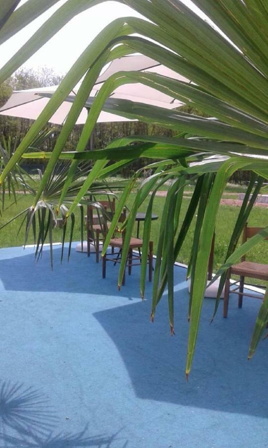 ホテル Pensiunea Casa Vanatorului Oteleni エクステリア 写真