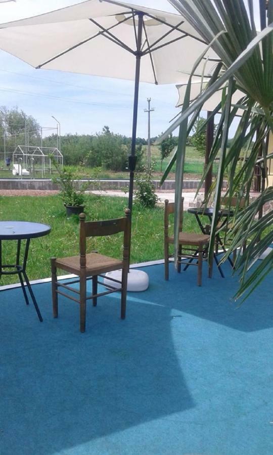 ホテル Pensiunea Casa Vanatorului Oteleni エクステリア 写真