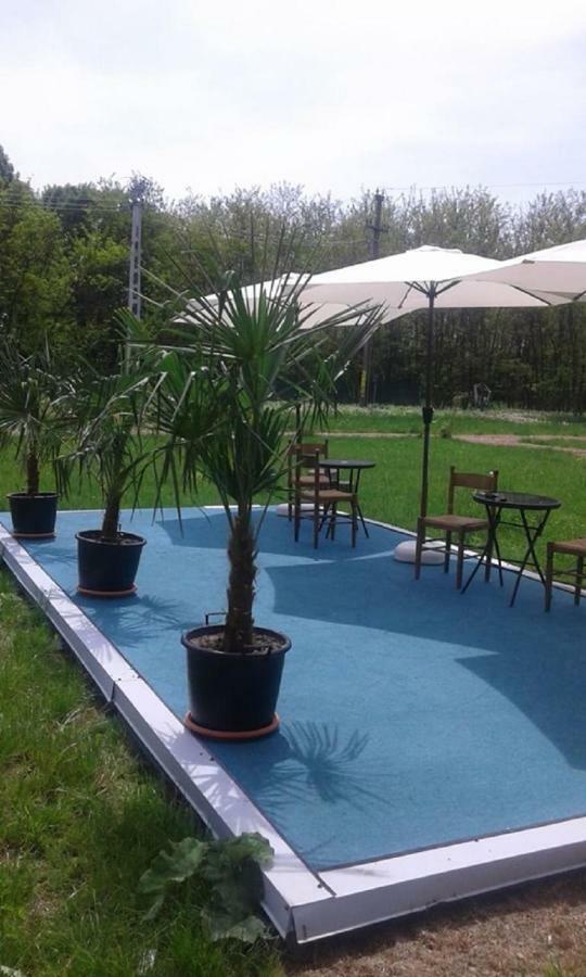 ホテル Pensiunea Casa Vanatorului Oteleni エクステリア 写真